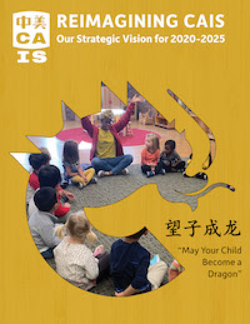 Strategic Vision 20202025 CAIS